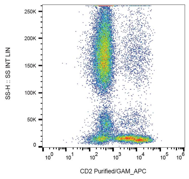 CD2 Antibody - Surface staining of human peripheral blood with anti-human CD2 (MEM-65) purified, GAM-APC.