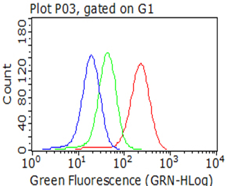 CD2 Antibody - Flow cytometric analysis of living CCRF-CEM cells, using anti-CD2 antibody Red), compared to an isotype control. (green), and a PBS control. (blue). (1:100)