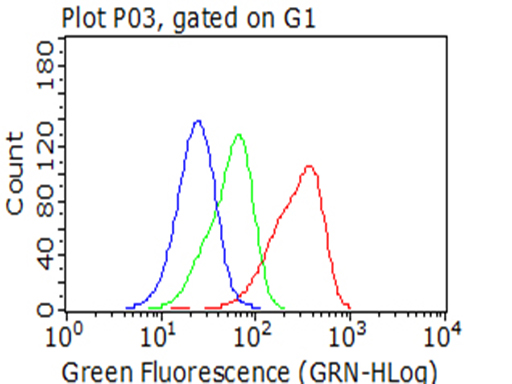 CD2 Antibody - Flow cytometric analysis of living Jurkat cells, using anti-CD2 antibody Red), compared to an isotype control. (green), and a PBS control. (blue). (1:100)