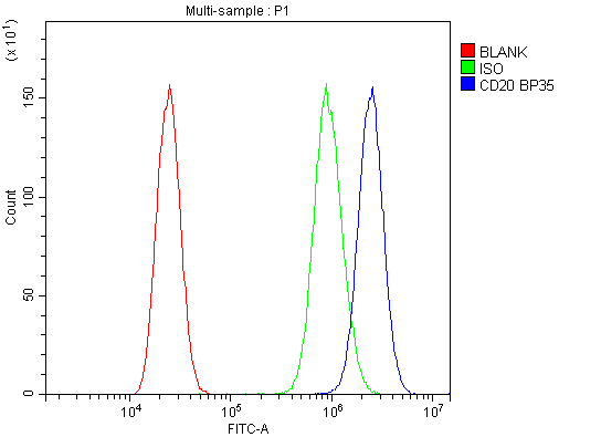 CD20 Antibody - Flow Cytometry analysis of A431 cells using anti-CD20 antibody. Overlay histogram showing A431 cells stained with anti-CD20 antibody (Blue line). The cells were blocked with 10% normal goat serum. And then incubated with rabbit anti-CD20 Antibody (1µg/10E6 cells) for 30 min at 20°C. DyLight®488 conjugated goat anti-rabbit IgG (5-10µg/10E6 cells) was used as secondary antibody for 30 minutes at 20°C. Isotype control antibody (Green line) was rabbit IgG (1µg/10E6 cells) used under the same conditions. Unlabelled sample (Red line) was also used as a control.