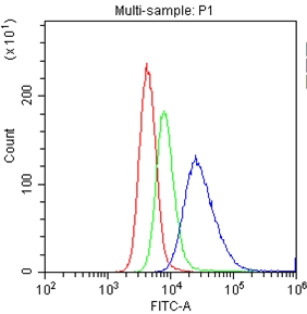 CD20 Antibody - Flow Cytometry analysis of U937 cells using anti-CD20 antibody. Overlay histogram showing U937 cells stained with anti-CD20 antibody (Blue line). The cells were blocked with 10% normal goat serum. And then incubated with rabbit anti-CD20 Antibody (1µg/1x106 cells) for 30 min at 20°C. DyLight-488 conjugated goat anti-rabbit IgG (5-10µg/1x106 cells) was used as secondary antibody for 30 minutes at 20°C. Isotype control antibody (Green line) was rabbit IgG (1µg/1x106) used under the same conditions. Unlabelled sample (Red line) was also used as a control.