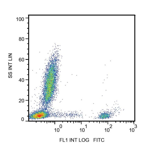 CD20 Antibody - CD20 Antibody in Flow Cytometry (Flow)