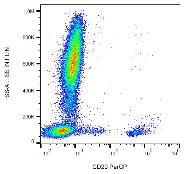 CD20 Antibody - Surface staining of human peripheral blood with anti-CD20 (2H7) PerCP.