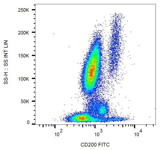 CD200 Antibody - Surface staining of CD200 in human peripheral blood with anti-CD200 (OX-104) FITC.