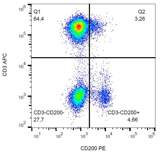 CD200 Antibody - Surface staining of CD200 in human peripheral blood with anti-CD200 (OX-104) PE.