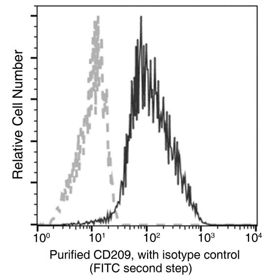 CD209 / DC-SIGN Antibody - Flow cytometric analysis of Human CD209 expression on DC. Cells were stained with purified anti-Human CD209, then a FITC-conjugated second step antibody. The fluorescence histograms were derived from gated events with the forward and side light-scatter characteristics of intact cells.
