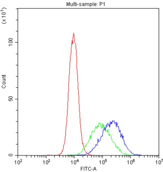 CD209 / DC-SIGN Antibody - Flow Cytometry analysis of THP-1 cells using anti-DC-SIGN antibody. Overlay histogram showing THP-1 cells stained with anti-DC-SIGN antibody (Blue line). The cells were blocked with 10% normal goat serum. And then incubated with rabbit anti-DC-SIGN Antibody (1µg/10E6 cells) for 30 min at 20°C. DyLight®488 conjugated goat anti-rabbit IgG (5-10µg/10E6 cells) was used as secondary antibody for 30 minutes at 20°C. Isotype control antibody (Green line) was rabbit IgG (1µg/10E6 cells) used under the same conditions. Unlabelled sample (Red line) was also used as a control.