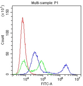 CD22 Antibody - Flow Cytometry analysis of Raji cells using anti-CD22 antibody. Overlay histogram showing Raji cells stained with anti-CD22 antibody (Blue line). The cells were blocked with 10% normal goat serum. And then incubated with rabbit anti-CD22 Antibody (1µg/1x106 cells) for 30 min at 20°C. DyLight®488 conjugated goat anti-rabbit IgG (5-10µg/1x106 cells) was used as secondary antibody for 30 minutes at 20°C. Isotype control antibody (Green line) was rabbit IgG (1µg/1x106) used under the same conditions. Unlabelled sample (Red line) was also used as a control.