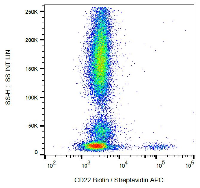 CD22 Antibody - Surface staining of human peripheral blood cells with anti-CD22 (MEM-01) biotin / streptavidin-APC.