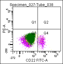 CD22 Antibody - Flow cytometric analysis of a normal blood sample after immunostaining with CD22 (CD22-FITC).