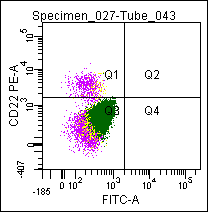 CD22 Antibody - Flow cytometric analysis of a normal blood sample after immunostaining with CD22 (CD22-PE).