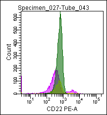 CD22 Antibody - Flow cytometric analysis of a normal blood sample after immunostaining with CD22 (CD22-PE).