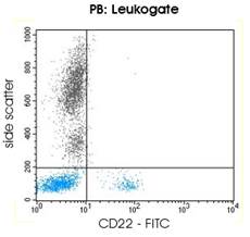 CD22 Antibody