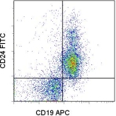 CD24 Antibody - Staining of BALB/c splenocytes with APC anti-mouse CD19 (MB19-1) (LS-C107291) and 0.5 ug of FITC Rat IgG2b Isotype Control (left) or 0.5 ug of FITC anti-mouse CD24 (30-F1) (right). Total viable cells were used for analysis. This image was taken for the unconjugated form of this product. Other forms have not been tested.
