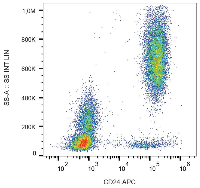 CD24 Antibody - Surface staining of human peripheral blood cells with anti-human CD24 (SN3) APC. 