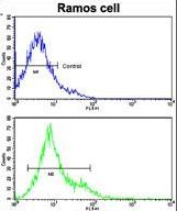 CD247 / CD3 Zeta Antibody - Flow cytometric of Ramos cells using CD3Z Antibody (bottom histogram) compared to a negative control cell (top histogram). FITC-conjugated goat-anti-rabbit secondary antibodies were used for the analysis.