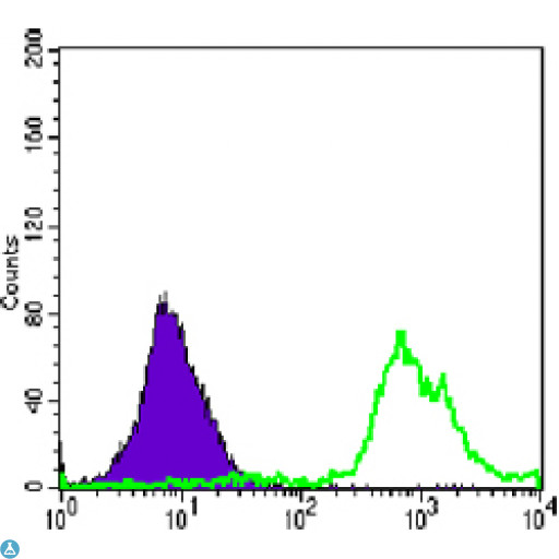 CD247 / CD3 Zeta Antibody - Flow cytometric (FCM) analysis of Jurkat cells using CD247 Monoclonal Antibody (green) and negative control (purple).