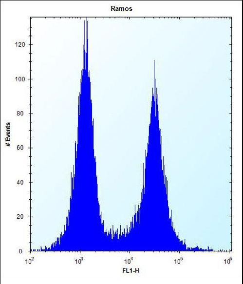 CD27 Antibody - CD27 Antibody flow cytometry of Ramos cells (right histogram) compared to a negative control cell (left histogram). FITC-conjugated donkey-anti-rabbit secondary antibodies were used for the analysis.