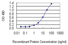 CD27 Antibody - Detection limit for recombinant GST tagged CD27 is 0.3 ng/ml as a capture antibody.