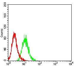 CD27 Antibody - Flow cytometric analysis of HL-60 cells using CD27 mouse mAb (green) and negative control (red).