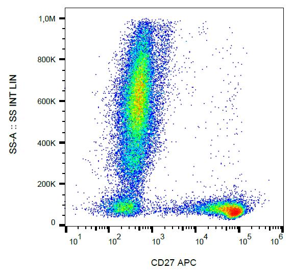 CD27 Antibody - Surface staining of human peripheral blood cells with anti-human CD27 (LT27) APC. 