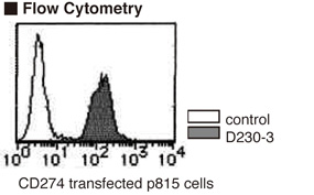 CD274 / B7-H1 / PD-L1 Antibody