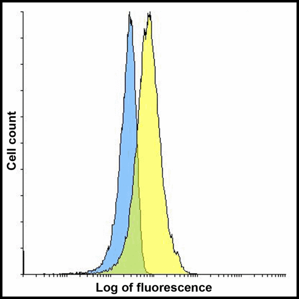 CD274 / B7-H1 / PD-L1 Antibody - Flow cytometry analysis of PD-L1 overexpressing HEK293 cells using PD-L1 antibody and control mouse IgG antibody at 10 ug/ml. Blue: Untransfected HEK293 cells. Yellow: PD-L1 overexpressing HEK293 cells.