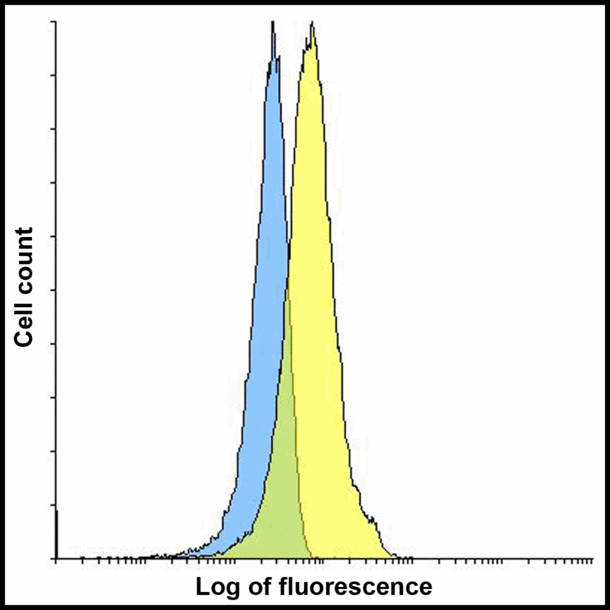 CD274 / B7-H1 / PD-L1 Antibody - Flow cytometry analysis of PD-L1 overexpressing HEK293 cells using PD-L1 antibody and control mouse IgG antibody at 10 ug/ml. Blue: Untransfected HEK293 cells. Yellow: PD-L1 overexpressing HEK293 cells.