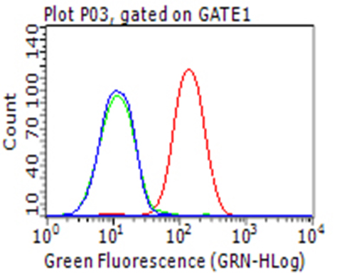 CD274 / B7-H1 / PD-L1 Antibody - Flow cytometric analysis of living HCC78 cells, using anti-CD274 antibody Red), compared to an isotype control. (green), and a PBS control. (blue). (1:100)