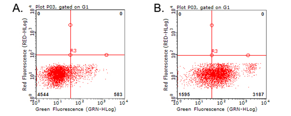 CD274 / B7-H1 / PD-L1 Antibody - Flow cytometric analysis of living PBMCs treated with 10ug/ml PHA for 72h. (Right) using anti-PDL1 antibody. Cells incubated with a non-specific antibody. (Left) were used as isotype control. (1:100)
