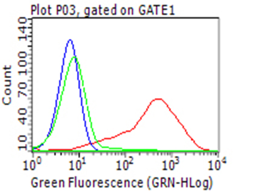 CD274 / B7-H1 / PD-L1 Antibody - Flow cytometric analysis of the stable expression of CD274 plasmid  in living 293T cells using anti-PDL1 antibody red) , compared to an isotype control. (green), and a PBS control. (blue). (1:100)