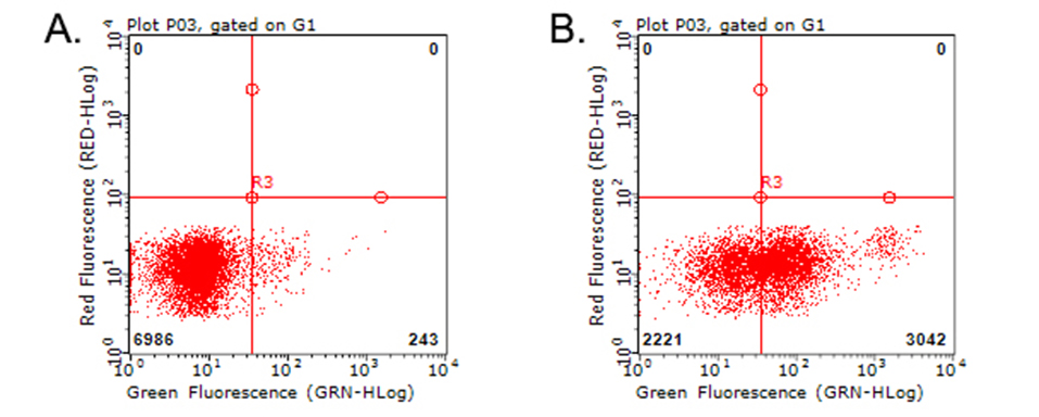 CD274 / B7-H1 / PD-L1 Antibody - Flow cytometric analysis of living PBMCs treated with 10ug/ml PHA for 72h. (Right)/untreated. (Left) using anti-PDL1 antibody. (1:100)