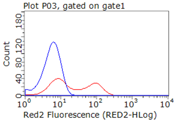 CD274 / B7-H1 / PD-L1 Antibody - Flow cytometric Analysis of living HCC78 cells, using anti-PDL1 antibody  red), compared to an IgG isotype control(blue). (1:100)