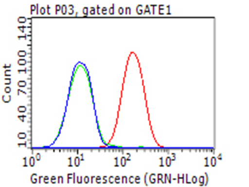 CD274 / B7-H1 / PD-L1 Antibody - Flow cytometric analysis of living HCC78 cells, using anti-CD274 antibody Red), compared to an isotype control. (green), and a PBS control. (blue). (1:100)