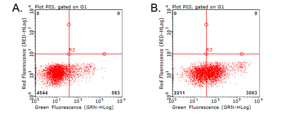 CD274 / B7-H1 / PD-L1 Antibody - Flow cytometric analysis of living PBMCs treated with 10ug/ml PHA for 72h. (Right) using anti-PDL1 antibody. Cells incubated with a non-specific antibody. (Left) were used as isotype control. (1:100)
