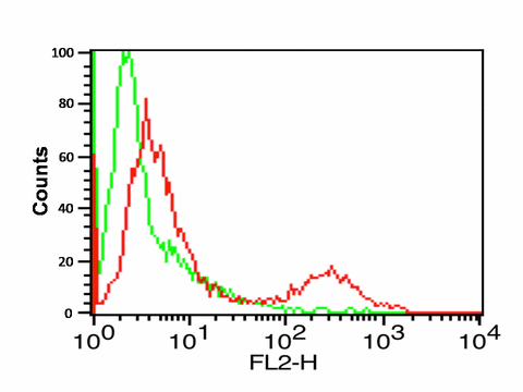 CD274 / B7-H1 / PD-L1 Antibody - Flow cytometry analysis of A-20 cells using PD-L1 antibody at 0.5 ug/ml. Green: Isotype control. Red : PD-L1 antibody.
