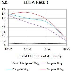 CD275 / B7-H2 / ICOS Ligand Antibody - Black line: Control Antigen (100 ng);Purple line: Antigen (10ng); Blue line: Antigen (50 ng); Red line:Antigen (100 ng)