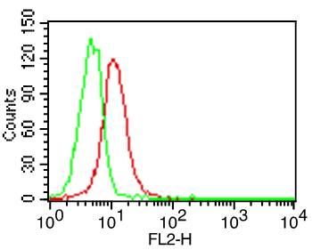 CD27L / CD70 Antibody - Fig-1: Cell Surface flow analysis of hCD70 in U266 cell line using 0.5 µg/10^6 cells. Green represents isotype control; red represents anti-hCD70 antibody. Goat anti-mouse PE conjugated secondary antibody was used.