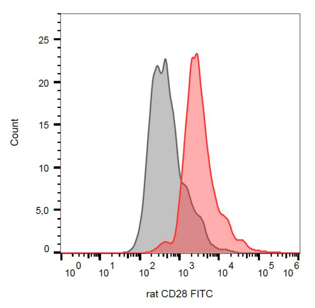 CD28 Antibody - Surface staining of rat thymocytes with anti-rat CD28 (JJ319) FITC.