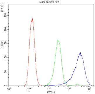 CD2AP Antibody - Flow Cytometry analysis of A431 cells using anti-CD2AP antibody. Overlay histogram showing A431 cells stained with anti-CD2AP antibody (Blue line). The cells were blocked with 10% normal goat serum. And then incubated with rabbit anti-CD2AP Antibody (1µg/10E6 cells) for 30 min at 20°C. DyLight®488 conjugated goat anti-rabbit IgG (5-10µg/10E6 cells) was used as secondary antibody for 30 minutes at 20°C. Isotype control antibody (Green line) was rabbit IgG (1µg/10E6 cells) used under the same conditions. Unlabelled sample (Red line) was also used as a control.