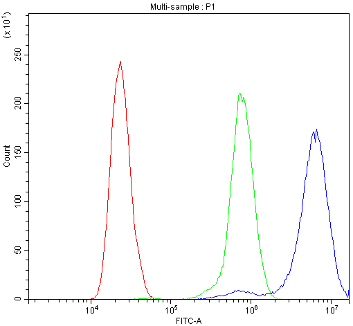 CD2AP Antibody - Flow Cytometry analysis of CACO-2 cells using anti-CD2AP antibody. Overlay histogram showing CACO-2 cells stained with anti-CD2AP antibody (Blue line). The cells were blocked with 10% normal goat serum. And then incubated with rabbit anti-CD2AP Antibody (1µg/10E6 cells) for 30 min at 20°C. DyLight®488 conjugated goat anti-rabbit IgG (5-10µg/10E6 cells) was used as secondary antibody for 30 minutes at 20°C. Isotype control antibody (Green line) was rabbit IgG (1µg/10E6 cells) used under the same conditions. Unlabelled sample (Red line) was also used as a control.