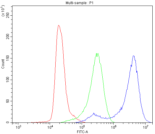 CD2AP Antibody - Flow Cytometry analysis of K562 cells using anti-CD2AP antibody. Overlay histogram showing K562 cells stained with anti-CD2AP antibody (Blue line). The cells were blocked with 10% normal goat serum. And then incubated with rabbit anti-CD2AP Antibody (1µg/10E6 cells) for 30 min at 20°C. DyLight®488 conjugated goat anti-rabbit IgG (5-10µg/10E6 cells) was used as secondary antibody for 30 minutes at 20°C. Isotype control antibody (Green line) was rabbit IgG (1µg/10E6 cells) used under the same conditions. Unlabelled sample (Red line) was also used as a control.