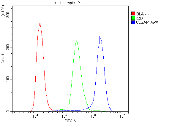 CD2AP Antibody - Flow Cytometry analysis of K562 cells using anti-D2AP antibody. Overlay histogram showing K562 cells stained with anti-D2AP antibody (Blue line). The cells were blocked with 10% normal goat serum. And then incubated with mouse anti-D2AP Antibody (1µg/10E6 cells) for 30 min at 20°C. DyLight®488 conjugated goat anti-mouse IgG (5-10µg/10E6 cells) was used as secondary antibody for 30 minutes at 20°C. Isotype control antibody (Green line) was mouse IgG (1µg/10E6 cells) used under the same conditions. Unlabelled sample (Red line) was also used as a control.
