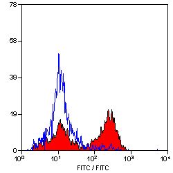 CD3 Antibody - Flow cytometry of canine peripheral blood lymphocytes with Mouse anti-Canine CD3