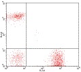 CD3 Antibody - Staining of normal human peripheral blood leukocytes with FITC anti-human CD3 (clone UCHT1) (x-axis) and PE anti-human CD19 (y-axis). The quadrant lines were set according to the isotype control. This image was taken for the unconjugated form of this product. Other forms have not been tested.