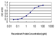 CD30 Antibody - Detection limit for recombinant GST tagged TNFRSF8 is approximately 0.03 ng/ml as a capture antibody.