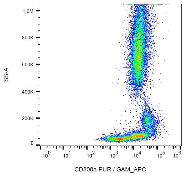 CD300A Antibody - Surface staining of human peripheral blood cells with anti-CD300a (MEM-260) purified, GAM-APC.