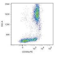 CD300A Antibody - CD300a Antibody in Flow Cytometry (Flow)