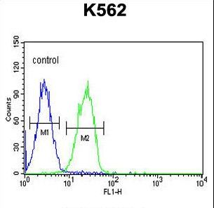 CD300LF / CD300f Antibody - CLM1 Antibody flow cytometry of K562 cells (right histogram) compared to a negative control cell (left histogram). FITC-conjugated goat-anti-rabbit secondary antibodies were used for the analysis.