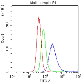 CD30L / CD153 Antibody - Flow Cytometry analysis of U937 cells using anti-CD153 antibody. Overlay histogram showing U937 cells stained with anti-CD153 antibody (Blue line). The cells were blocked with 10% normal goat serum. And then incubated with rabbit anti-CD153 Antibody (1µg/1x106 cells) for 30 min at 20°C. DyLight®488 conjugated goat anti-rabbit IgG (5-10µg/1x106 cells) was used as secondary antibody for 30 minutes at 20°C. Isotype control antibody (Green line) was rabbit IgG (1µg/1x106) used under the same conditions. Unlabelled sample (Red line) was also used as a control.